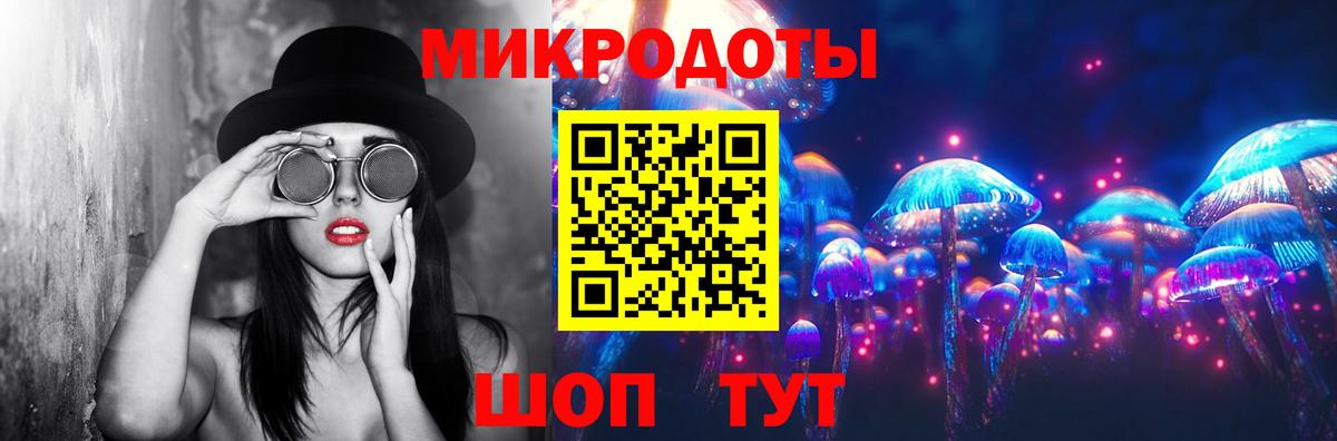 Галлюциногенные грибы Cubensis Асино